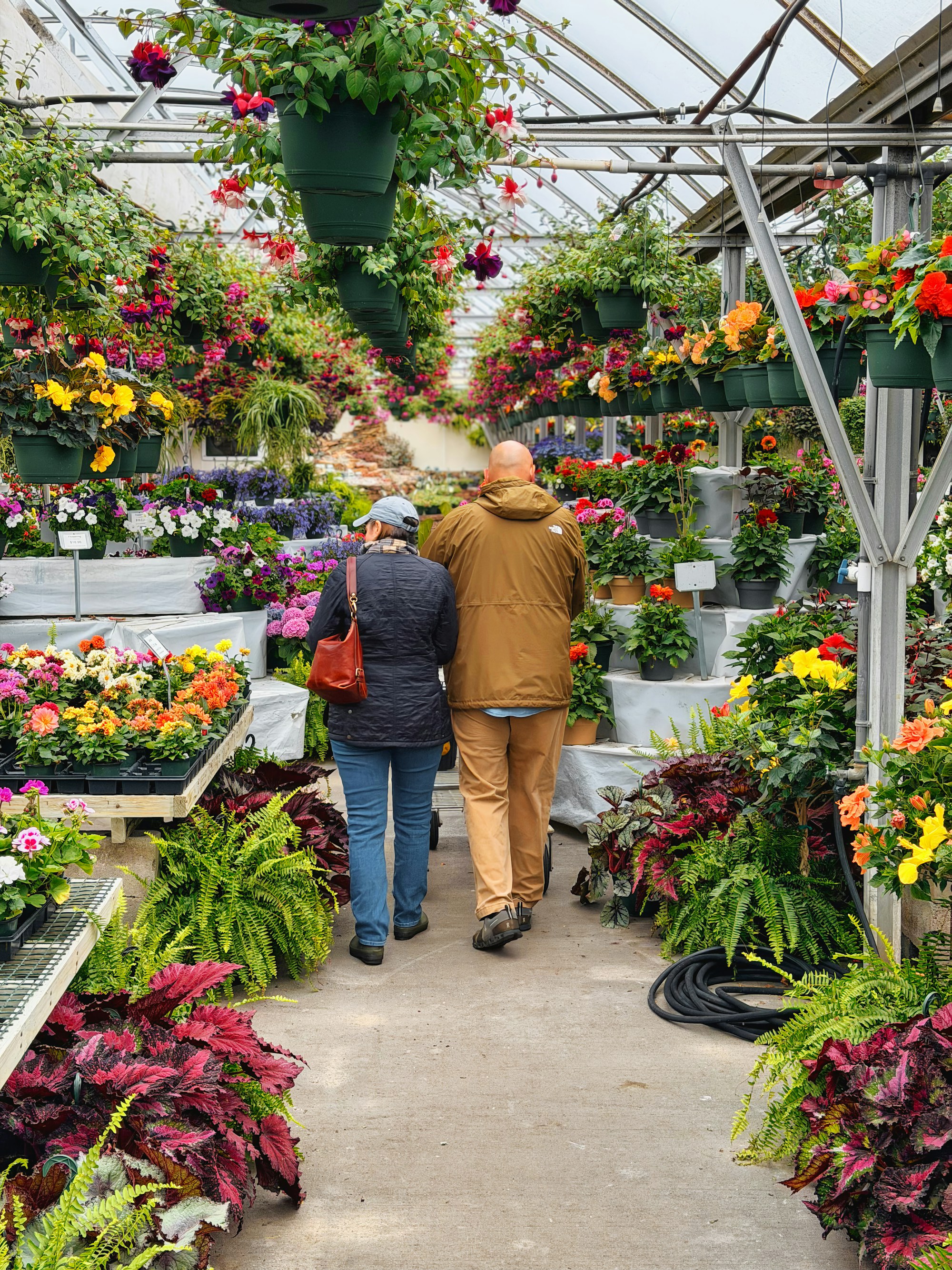 La jardinerie